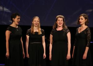 SLAVNOSTNA SEJA OBČINSKEGA SVETA OBČINE CERKNICA 16 FOTO LJUBO VUKELIČ